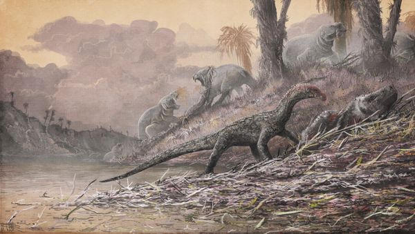 This artist's rendering provided by Mark Witton in April 2017 shows a Teleocrater rhadinus, center, a four-legged, meat-eating reptile and a close relative of dinosaurs, eating a relative of mammals, Cynognathus. - Sputnik International