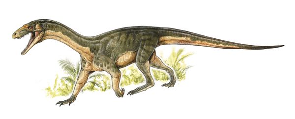 This artist's rendering provided by Gabriel Lio in April 2017 shows the Teleocrater rhadinus, a four-legged, meat-eating reptile and a close relative of dinosaurs.  - Sputnik International