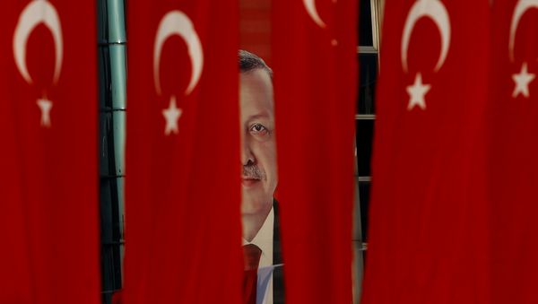A picture of Turkish President Tayyip Erdogan is seen through Turkish national flags ahead of the constitutional referendum in Istanbul, Turkey, April 14, 2017. A picture of Turkish President Tayyip Erdogan is seen through Turkish national flags ahead of the constitutional referendum in Istanbul, Turkey, April 14, 2017. - Sputnik International