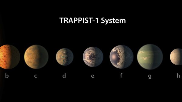 Artist's conception of what the TRAPPIST-1 planetary system may look like, based on available data about their diameters, masses and distances from the host star - Sputnik International