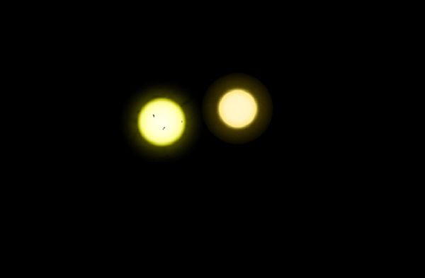 The Sun (left) is both larger and somewhat hotter than the less active Tau Ceti (right) The Sun (left) is both larger and somewhat hotter than the less active Tau Ceti (right) - Sputnik International