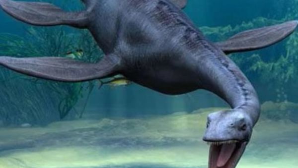 Plesiosaur - Sputnik International