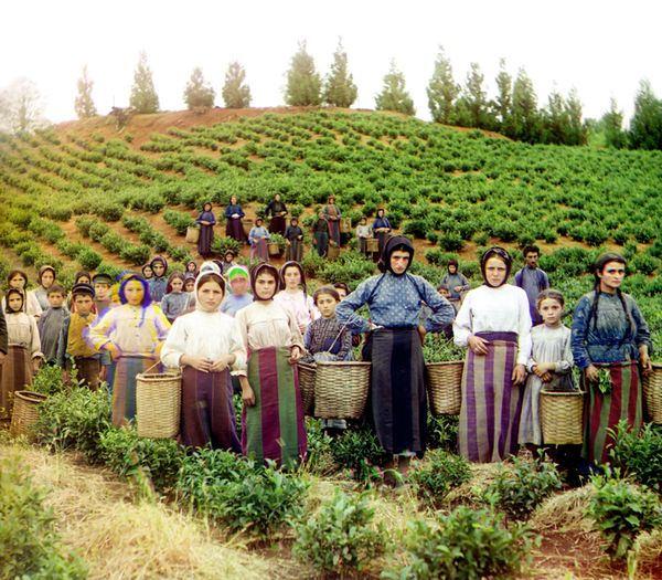 First Color Images of Russian Empire by Pioneer Photographer Prokudin-Gorsky - Sputnik International