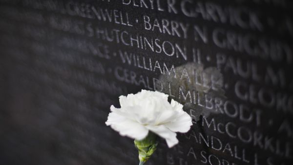 the Vietnam Memorial on the National Mall in Washington DC - Sputnik International