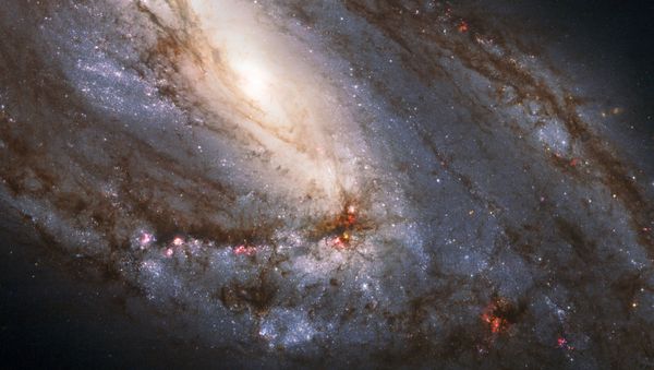 This image made by the NASA/ESA Hubble Space Telescope shows M66, the largest of the Leo Triplet galaxies. It has asymmetric spiral arms and an apparently displaced core most likely caused by the gravitational pull of the other two members of the trio. - Sputnik International