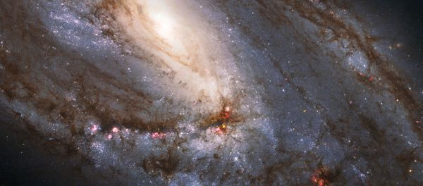This image made by the NASA/ESA Hubble Space Telescope shows M66, the largest of the Leo Triplet galaxies. It has asymmetric spiral arms and an apparently displaced core most likely caused by the gravitational pull of the other two members of the trio. - Sputnik International