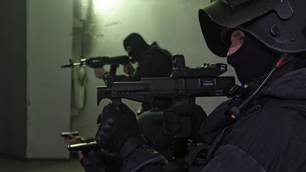 SOBR special police officers. (File) - Sputnik International