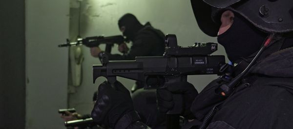 SOBR special police officers. (File) SOBR special police officers. (File) - Sputnik International