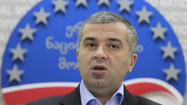 Leader of opposition United National Movement Party David Bakradze. (File) - Sputnik International