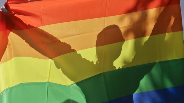 Rainbow flag. (File) - Sputnik International