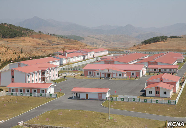  Thaechon Pig Farm - Sputnik International