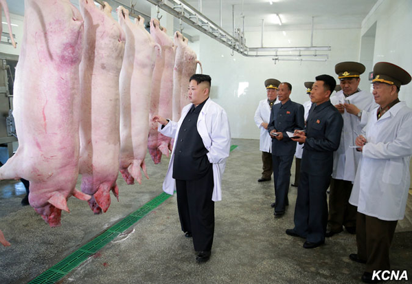 North Korean Leader Kim Jong Un at  the Thaechon Pig Farm of the Air and Anti-Air Force of the Korean People's Army - Sputnik International