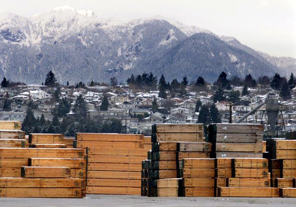 Piles of softwood lumber destined for export, are stacked at a Richmond, B.C., Canada lumberyard (File) - Sputnik International