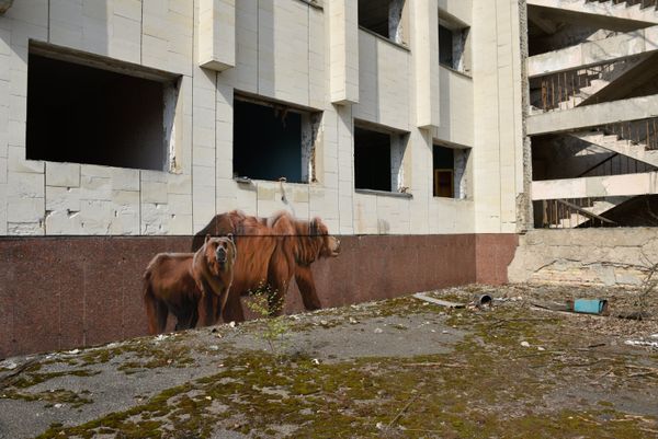 The Ghosts of Chernobyl The Ghosts of Chernobyl - Sputnik International