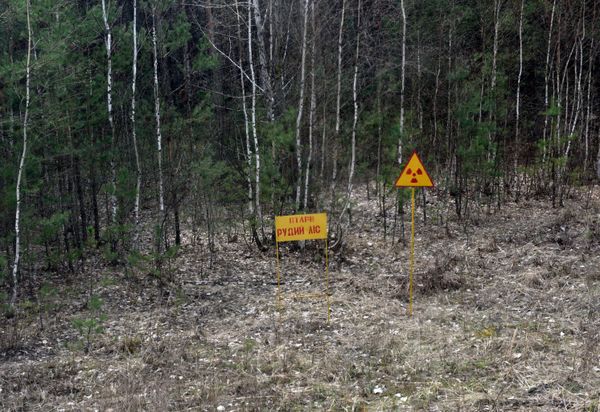 The Ghosts of Chernobyl The Ghosts of Chernobyl - Sputnik International