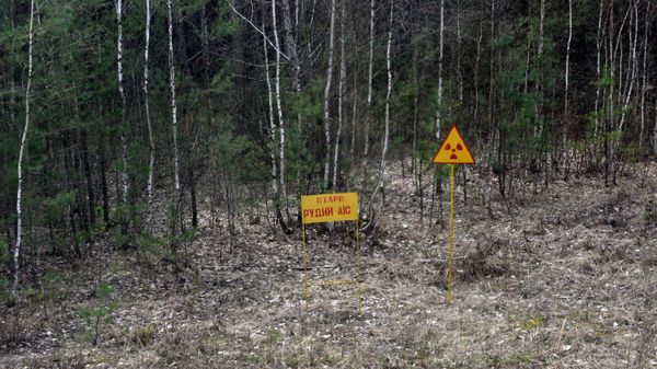 Chernobyl Exclusion Area - Sputnik International