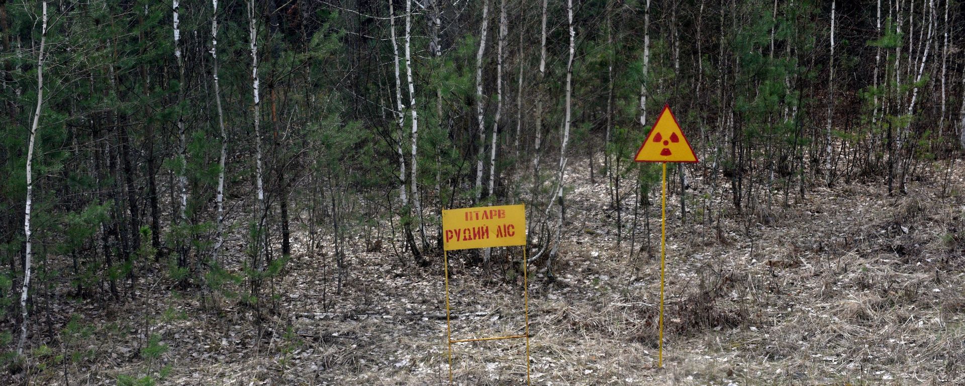 Chernobyl Exclusion Area - Sputnik International, 1920, 19.07.2017