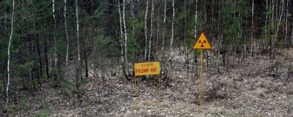 Chernobyl Exclusion Area Chernobyl Exclusion Area - Sputnik International