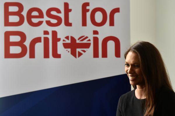 Campaigner Gina Miller speaks to journalists after launching her Best for Britain initiative in London, April 26, 2017. Campaigner Gina Miller speaks to journalists after launching her Best for Britain initiative in London, April 26, 2017. - Sputnik International