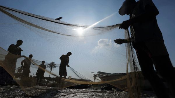 Sri Lankan fishermen sort their catch in a fishery harbor in Colombo, Sri Lanka (File) Sri Lankan fishermen sort their catch in a fishery harbor in Colombo, Sri Lanka (File) - Sputnik International