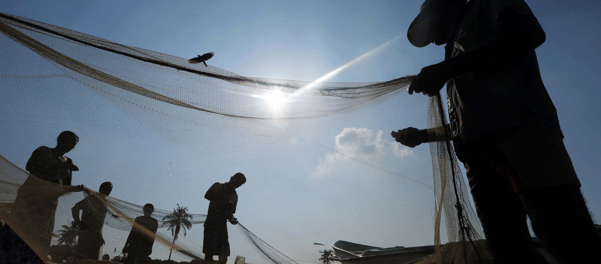 Sri Lankan fishermen sort their catch in a fishery harbor in Colombo, Sri Lanka (File) - Sputnik International, 1920, 18.05.2021