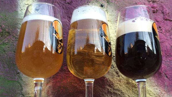 Beer - Sputnik International