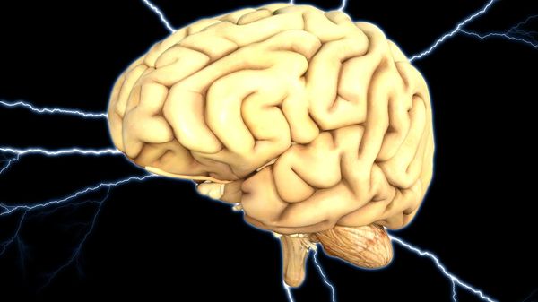 Human brain - Sputnik International
