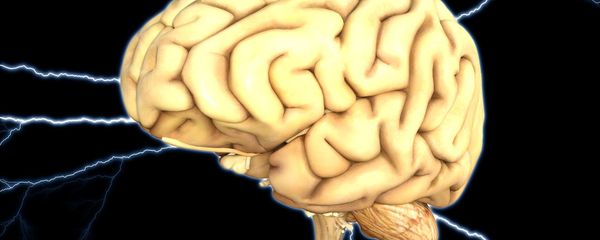 Human brain - Sputnik International