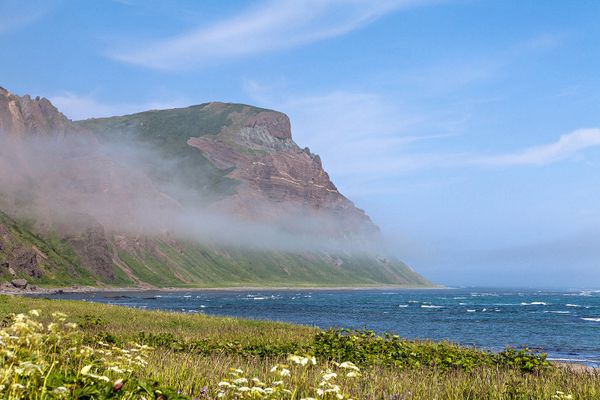 Living on the Volcano: Miraculous Kamchatka Nature Reserve - Sputnik International