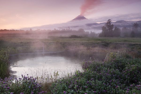 Living on the Volcano: Miraculous Kamchatka Nature Reserve - Sputnik International