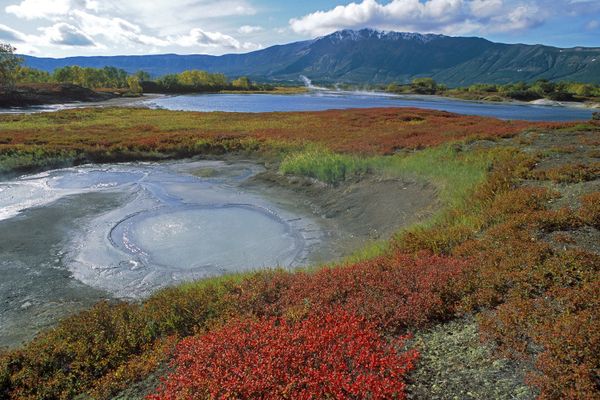 Living on the Volcano: Miraculous Kamchatka Nature Reserve - Sputnik International