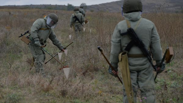 Mine clearance specialists. (File) - Sputnik International