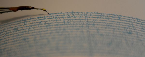 View of a seismograph. (File) View of a seismograph. (File) - Sputnik International
