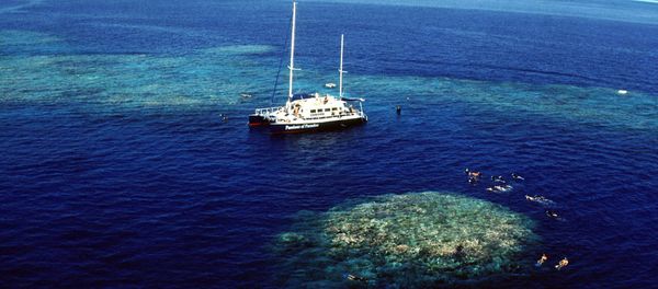 Tourists snorkel around Upolu Cay on the Great Barrier Reef near Cairns off the Australian north east coast Tourists snorkel around Upolu Cay on the Great Barrier Reef near Cairns off the Australian north east coast - Sputnik International