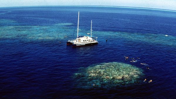 Tourists snorkel around Upolu Cay on the Great Barrier Reef near Cairns off the Australian north east coast - Sputnik International