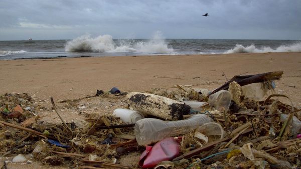 In this Aug. 13, 2015 photo, a plastic bottle lies among other debris washed ashore on the Indian Ocean beach in Uswetakeiyawa, north of Colombo, Sri Lanka. For years along the Cornish coast of Britain, Atlantic Ocean currents have carried thousands of Lego pieces onto the beaches. In Kenya, cheap flip-flop sandals are churned relentlessly in the Indian Ocean surf, until finally being spit out onto the sand. In Bangladesh, fishermen are haunted by floating corpses that the Bay of Bengal sometimes puts in their path. And now, perhaps, the oceans have revealed something else: parts of Malaysian Airlines Flight 370, the jetliner that vanished 17 months ago with 239 people on board. - Sputnik International