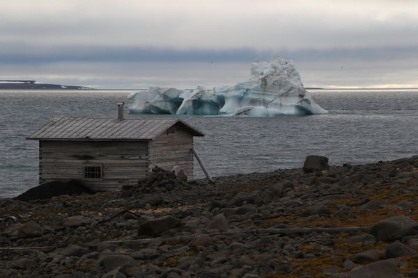 Russia Set to Take Over Arctic Council as Global Warming Offers Opportunity and Challenges Russia Set to Take Over Arctic Council as Global Warming Offers Opportunity and Challenges - Sputnik International