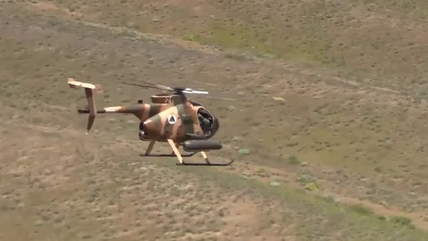 MD 530F helicopter - Sputnik International