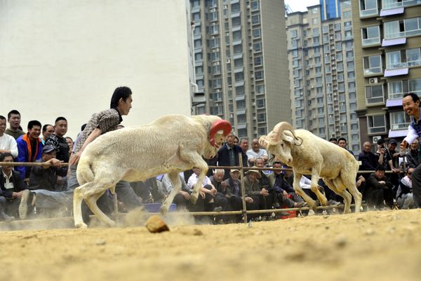 The Land of Vibrant Traditions: Explore the Other Side of China - Sputnik International