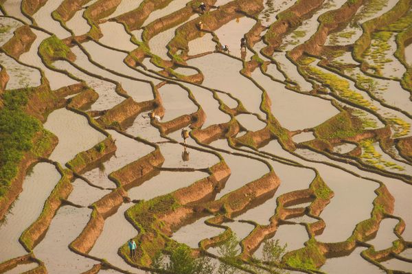 The Land of Vibrant Traditions: Explore the Other Side of China - Sputnik International