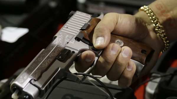 A customer looks at a SIG Sauer hand gun at a gun show held by Florida Gun Shows, Saturday, Jan. 9, 2016, in Miami.  - Sputnik International