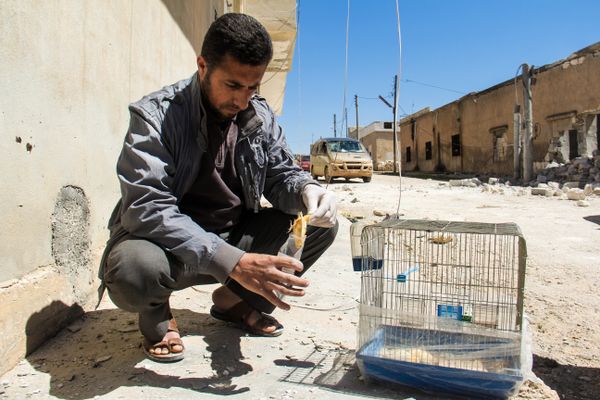 OPCW Gives Syria 90 Days to Declare Chemical Weapons OPCW Gives Syria 90 Days to Declare Chemical Weapons - Sputnik International