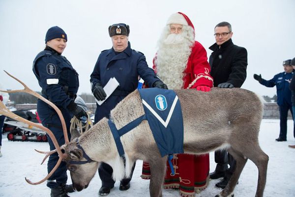 Corgi, Reindeer and Guinea Pig: Animals Serving in Police Around the World Corgi, Reindeer and Guinea Pig: Animals Serving in Police Around the World - Sputnik International