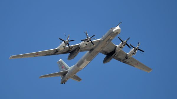 A Tupolev Tu-95MS Bear strategic bomber A Tupolev Tu-95MS Bear strategic bomber - Sputnik International