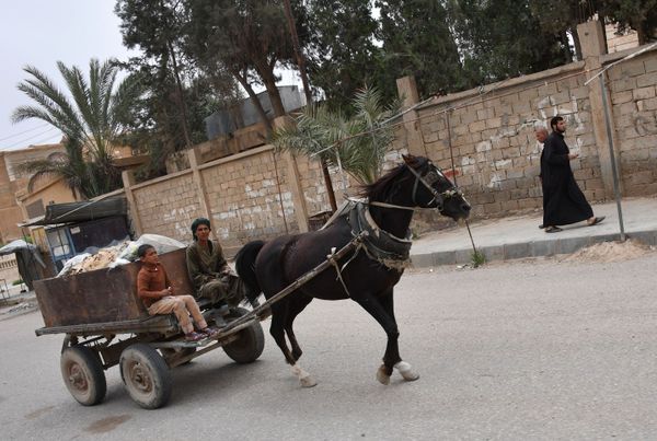 People on a wooden cart in Deir ez-Zor, Syria. - Sputnik International