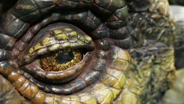 A close-up of the eye of the Ankylosaurus dinosaur is shown Wednesday, June 20, 2007 in Tacoma, Wash. - Sputnik International