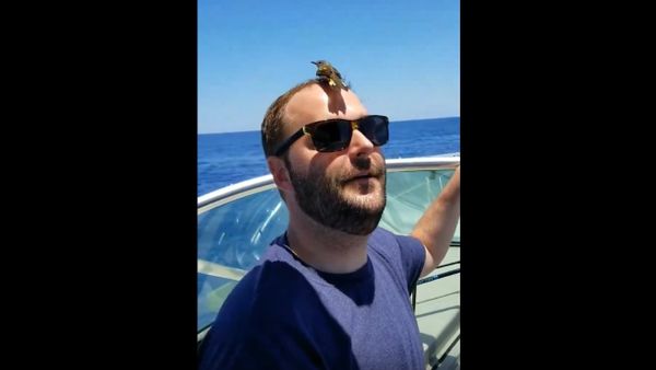 Tired Bird Needs Rest - Sputnik International