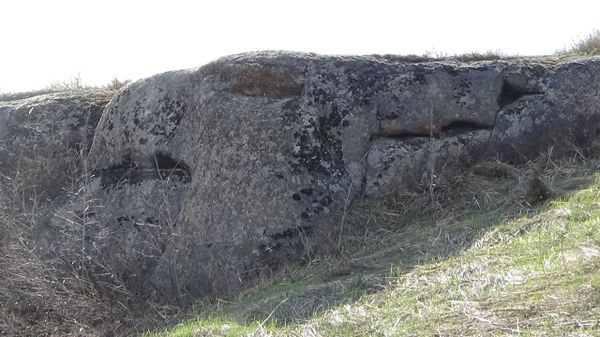 Griffin, an ancient megalith discovered in Russia’s Altai Mountains. - Sputnik International