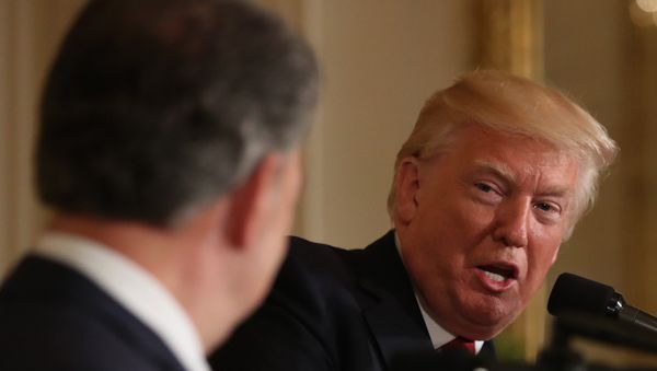 US President Donald Trump US President Donald Trump - Sputnik International