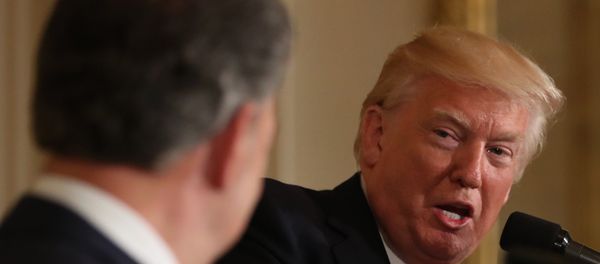 US President Donald Trump - Sputnik International